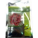 Syngenta ROCKY Hybrid Tomato Seed