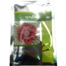 Syngenta ROCKY Hybrid Tomato Seed