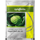 Syngenta Royal Ball BC 51 Hybrid Cabbage Seeds – 2000 Seeds Pack | High‑Yield Green Cabbage Variety