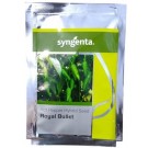 Syngenta Royal Bullet Hot Pepper Hybrid Seeds – Early Maturity, High Pungency, Export-Grade Yield | 9.1g Pack
