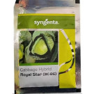 Syngenta Royal Star BC 86 Hybrid Cabbage Seeds – 4000 Seeds Pack | High Yield Compact Round Cabbage Variety