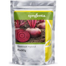 Syngenta Ruddy Hybrid Beet Root Seeds – 200g | High‑Yield Red Beet Variety