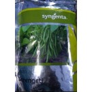 Syngenta Serengeti Bean Hybrid Seed