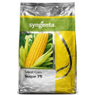 Syngenta Sugar 75 Sweet Corn Seeds – 1kg | High‑Yield Golden Sweetcorn Variety