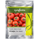 Syngenta Viraja (TO 7414) Hybrid Tomato Seeds – 3000 Seeds | High‑Yield Red Tomato Variety