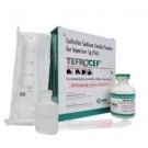 MSD Animal Health Tefrocef Anti Infectives Injection