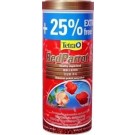 Tetra Red Parrot 