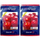 US Agriseeds SW 1546 Hybrid Tomato Seeds – Indeterminate, High-Yield, Disease-Resistant | 10g Pack