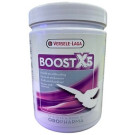 Versele Laga Oropharma Boost X5 Powder – Muscle & Energy Support Supplement for Racing Pigeons | 500gm
