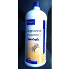 VIRBAC Calgophos Poultry