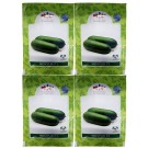 East West Benyue F1 Wax Gourd Hybrid Seeds