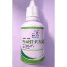 White Crane Plant Plus