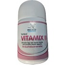 White Crane Vitamix