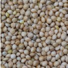 White Millet 