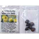 Yellow Dwarf Lotus Seeds