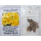 Yellow Plumeria Frangipani Kathalichapa Seeds