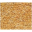 Golden Yellow Millet 