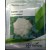 Bayer Seminis DAWN 175 Hybrid Cauliflower Seeds