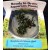 Bucephalandra BROWNIE GHOST