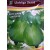 Liebigs Bottle Gourd JORABONTA Commercial Agriculture Seeds