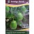 Liebigs Brinjal F1 LB24 Commercial Agriculture Seeds