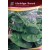 Liebigs PUIN Bombay Special Commercial Agriculture Seeds