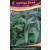 Liebigs Water Spinach KALMI Commercial Agriculture Seeds