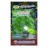 Metro Seeds Blue Kale Gardening Seeds