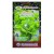 Metro Seeds Green Cos Lettuce Gardening Seeds