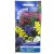 Suttons UK Statice Sinuata Special Mix Seeds 