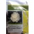 Syngenta C6105 Monsoon Queen Hybrid Cauliflower Seed