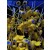 Terrariums Succulents Wabi Kusa Miniature Figurines Decoration 