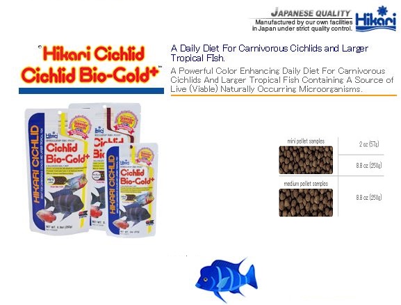 hikari aquarium fish food