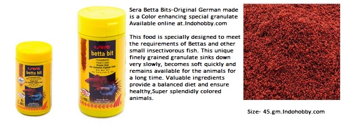 sera aquarium fish food