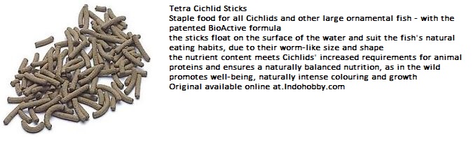 tetra fish food