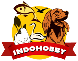 www.Indohobby.com